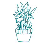 illustration pot de fleurs