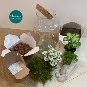 echappee-vegetale-terrarium-diy